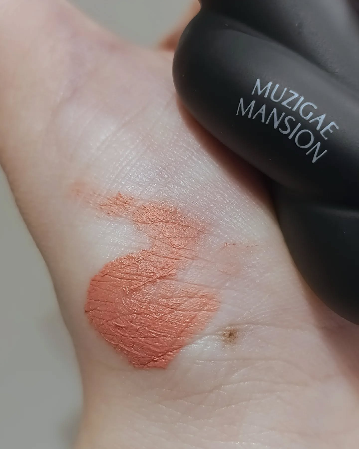タイアップカバーティント/MUZIGAE MANSION/リップティントを使ったクチコミ（2枚目）