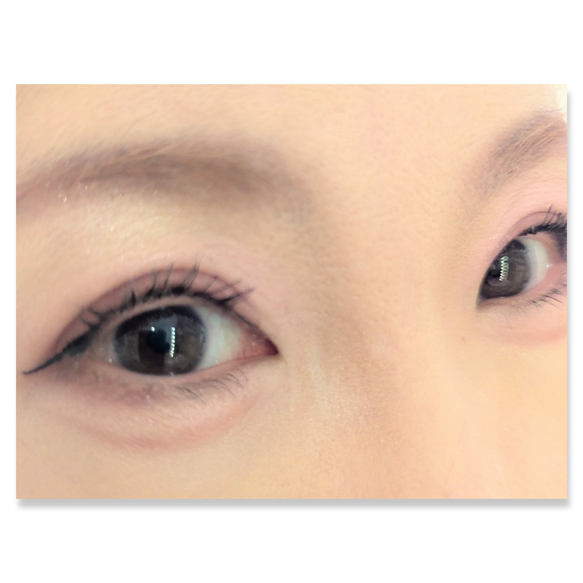 ミャオパウズアイシャドウパレット/MilleFée/アイシャドウパレットを使ったクチコミ（2枚目）