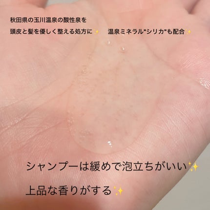 ボンリペア シャンプー/トリートメント/bonparme/シャンプー・コンディショナーを使ったクチコミ(2枚目)