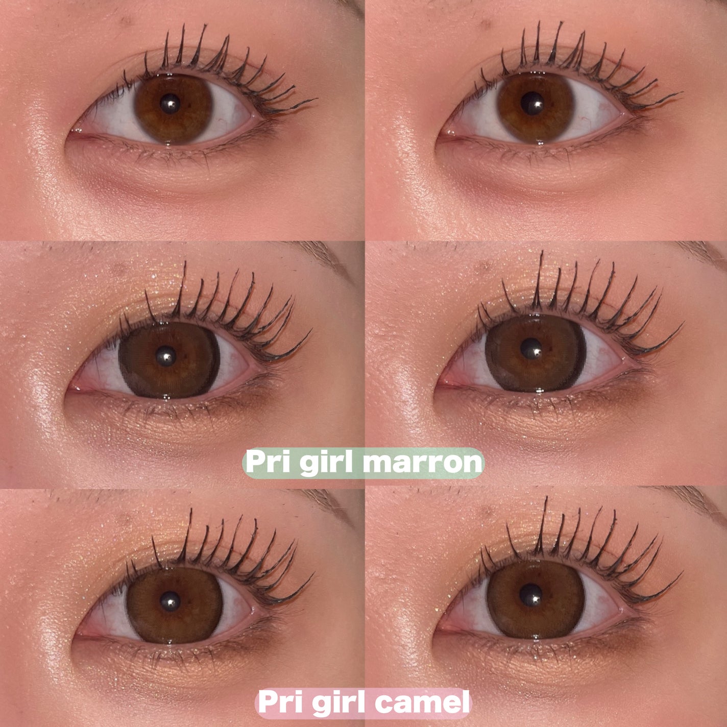 プリモアマンスリー/PRIMORE/1ヶ月(1MONTH)カラコンを使ったクチコミ(3枚目)