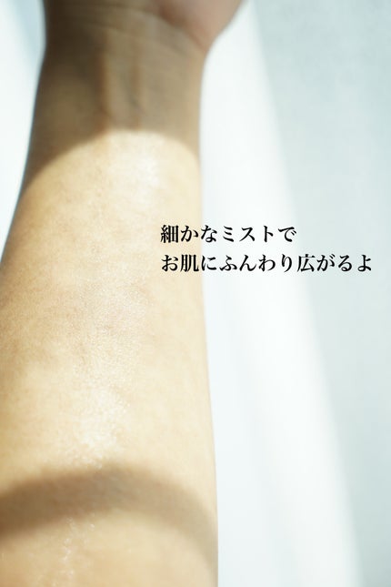 Dr.ウィラード・ウォーター/Dr.ウィラード・ウォーター/ミスト状化粧水を使ったクチコミ(4枚目)