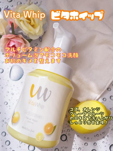 泡の洗顔料ビタホイップ 本体 300ml/マックス/泡洗顔の画像
