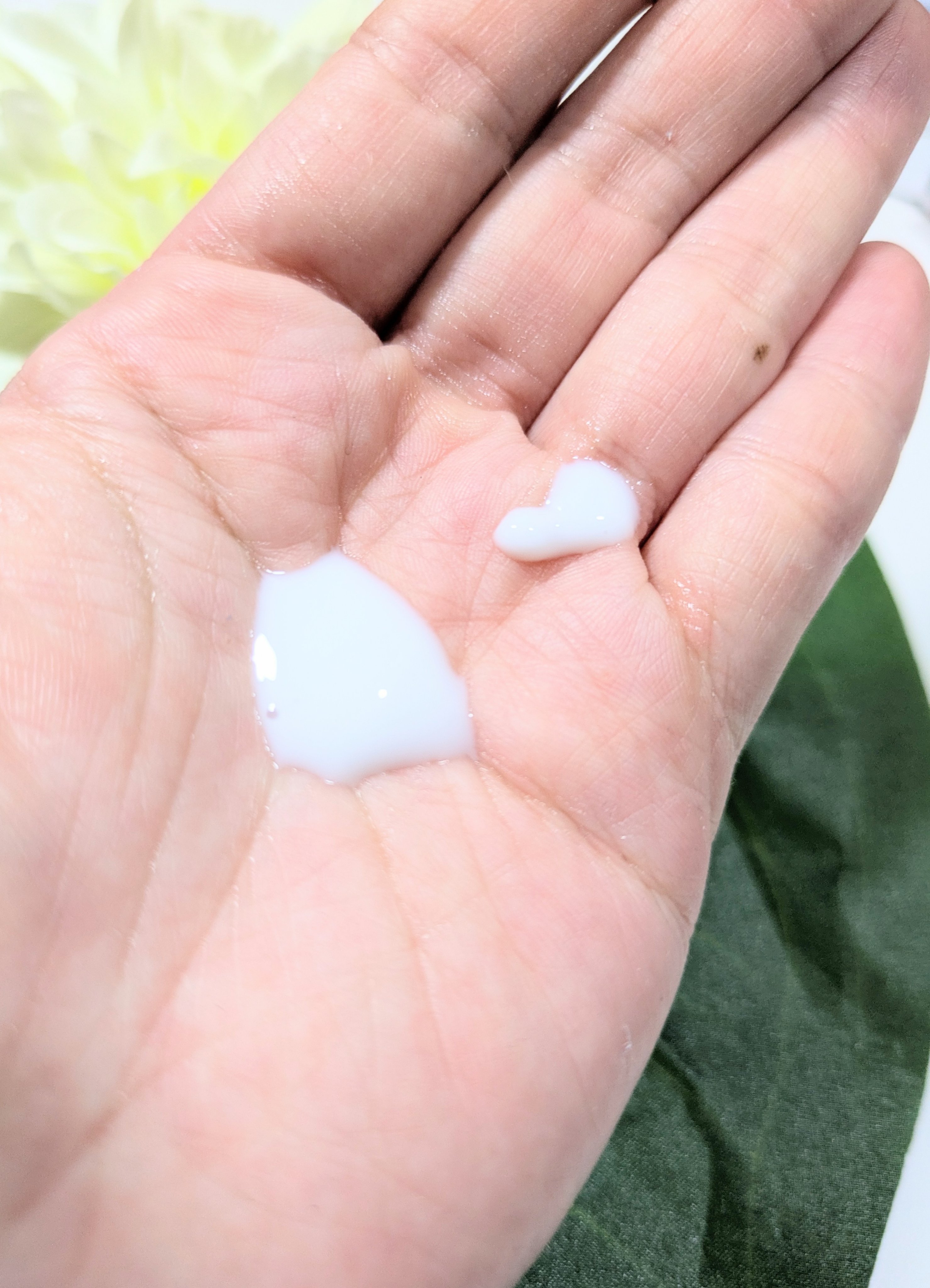 スパ・エ・メール ブラン コンフォール ミルク/Prédia/乳液を使ったクチコミ（3枚目）