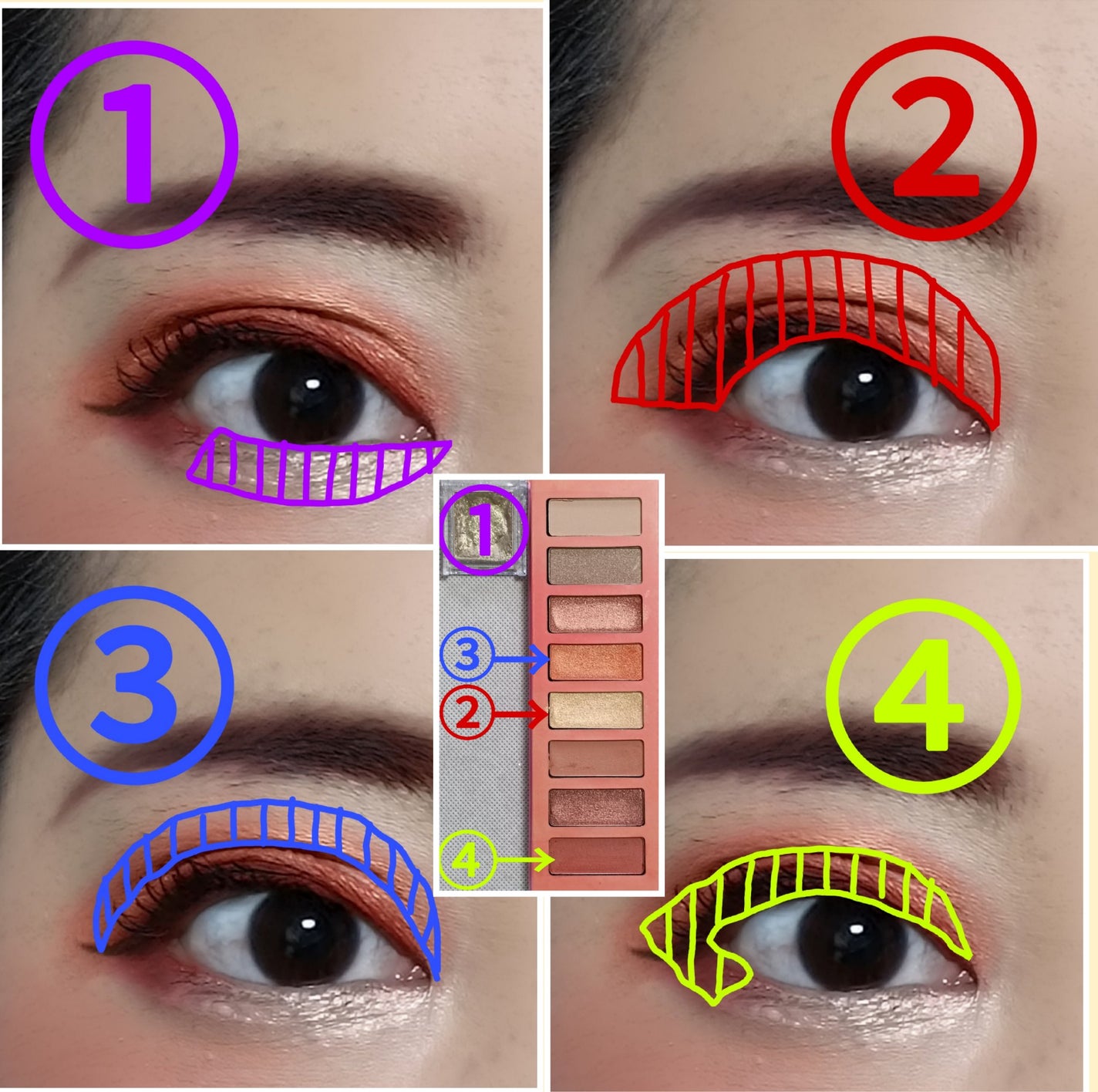 ã»ã¬ã¯ã ã¢ã€ã«ã©ãŒ/ESPRIQUE/åè²ã¢ã€ã·ã£ããŠã䜿ã£ãã¯ãã³ãïŒ5æç®ïŒ