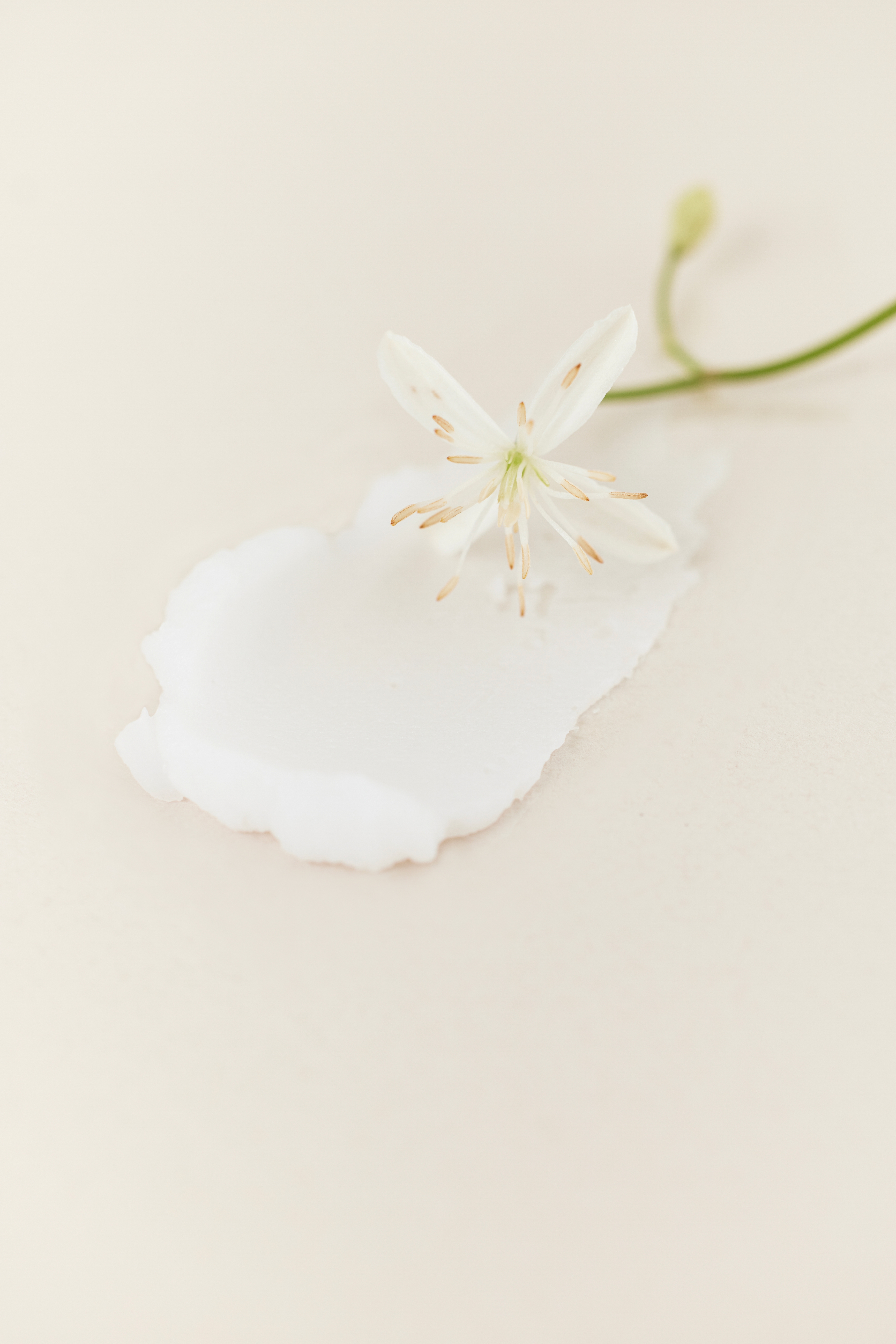 ソリッド パフューム ホワイトアプリコット LUAFEE