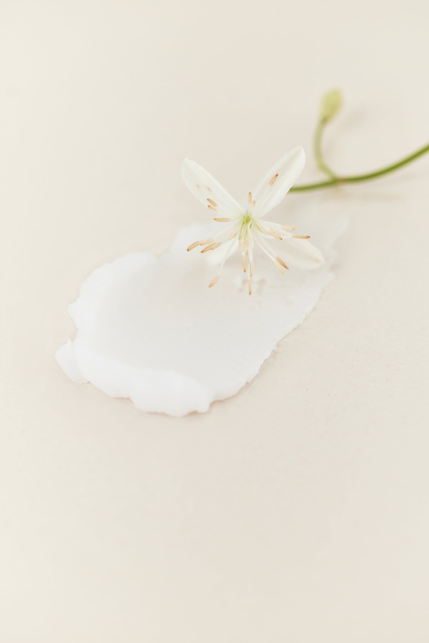 ソリッド パフューム ホワイトアプリコット LUAFEE