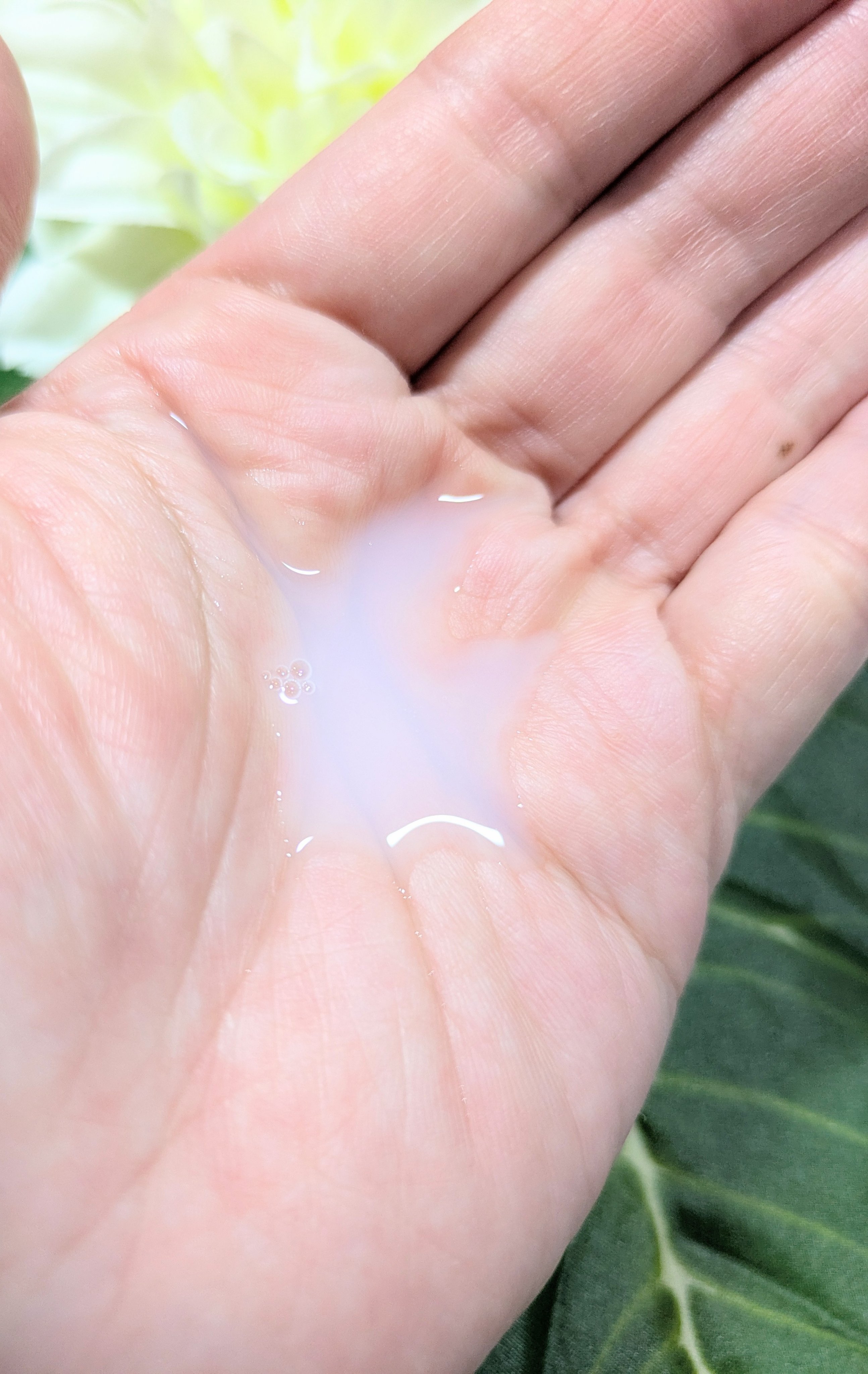 スパ・エ・メール ブラン コンフォール ミルク/Prédia/乳液を使ったクチコミ（2枚目）