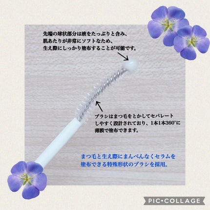 バイオアイラッシュセラム/mgb skin/まつげ美容液を使ったクチコミ(3枚目)