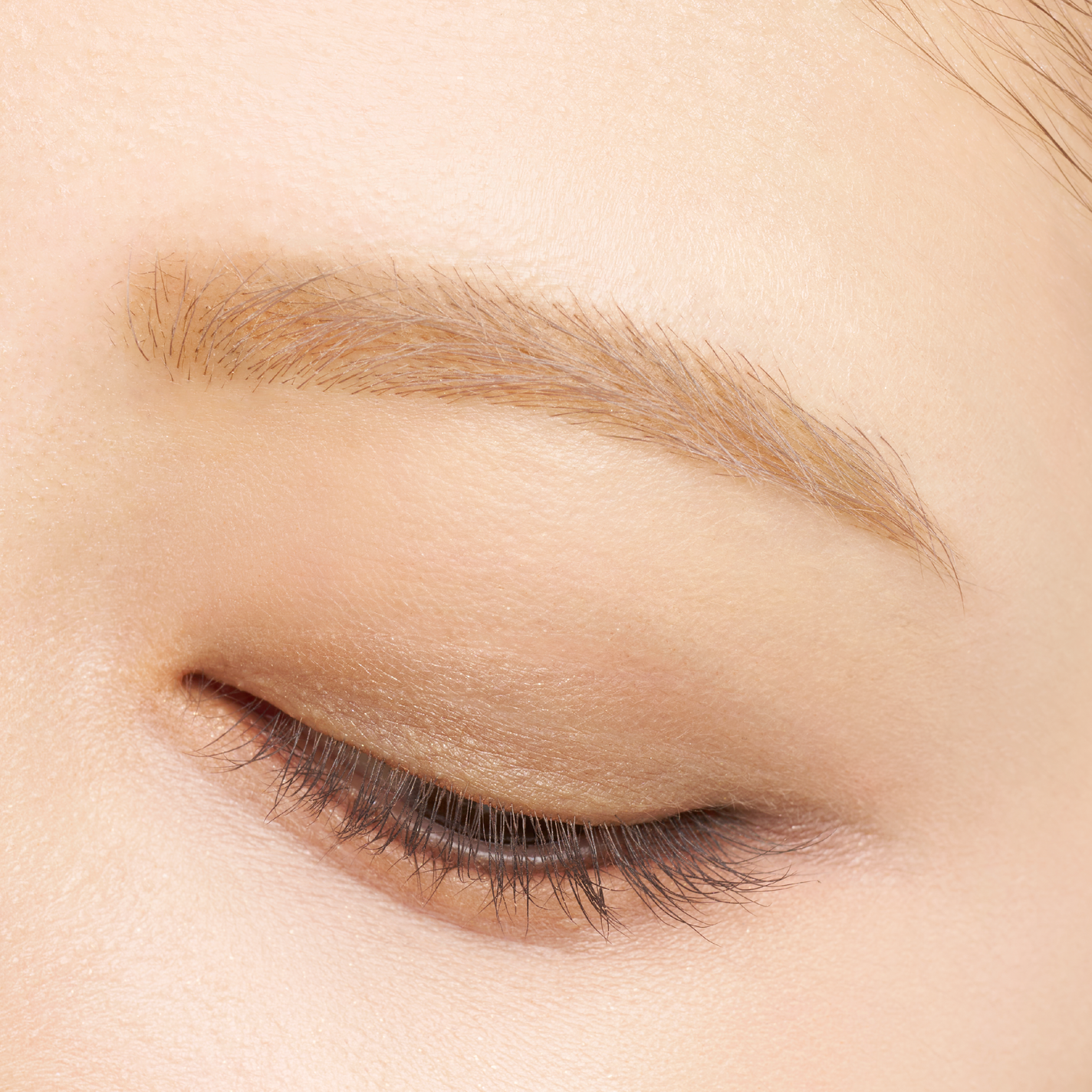 K-パレット ニュアンスパウダーアイブロウ+ 01 マイルドブラウン