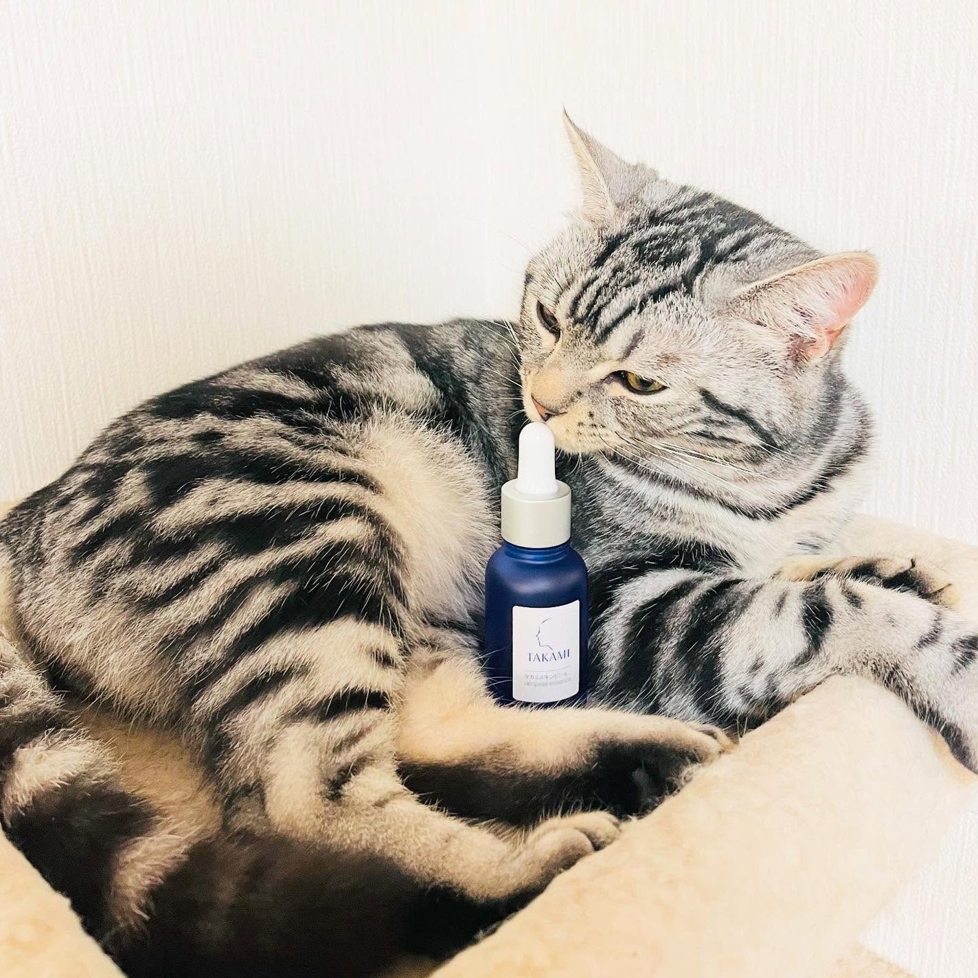 タカミスキンピール/タカミ/ブースター・導入液を使ったクチコミ(1枚目)