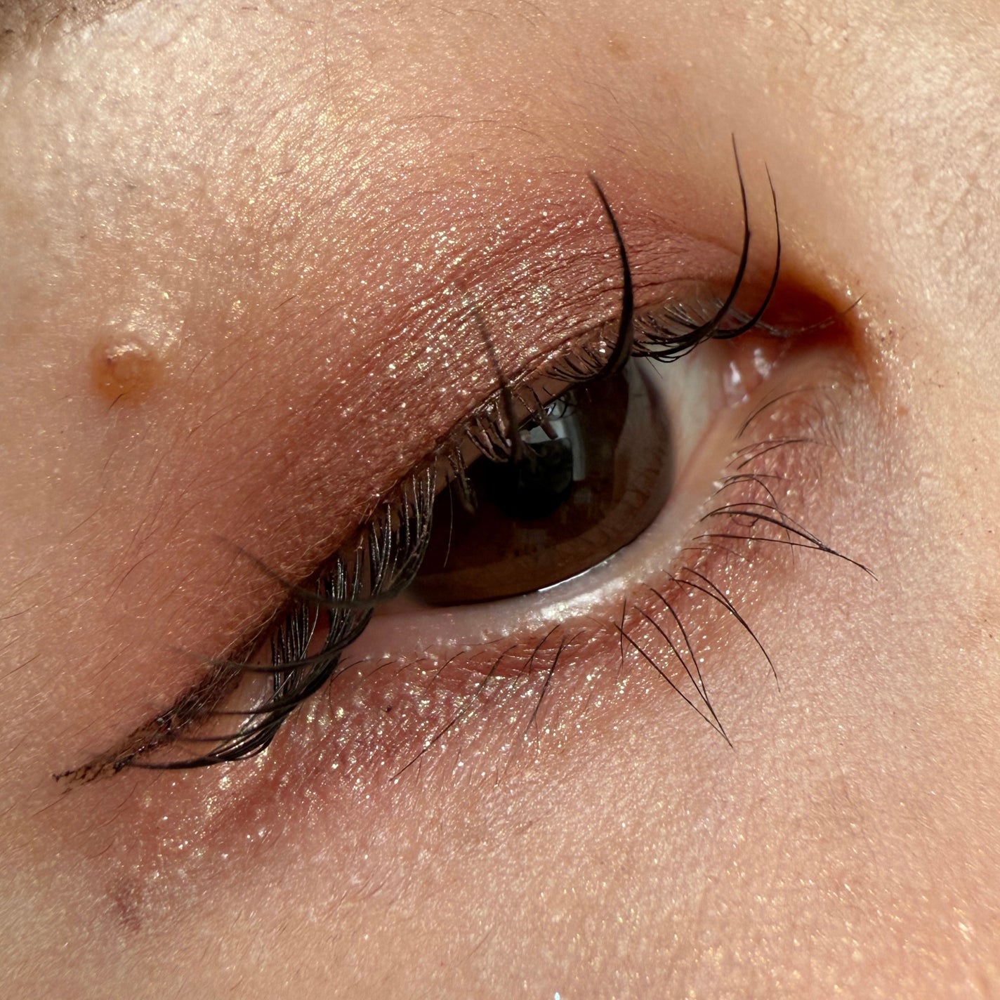 ダイメンションズ マルチエフェクト アイシャドウ/PRADA BEAUTY/アイシャドウパレットを使ったクチコミ(2枚目)