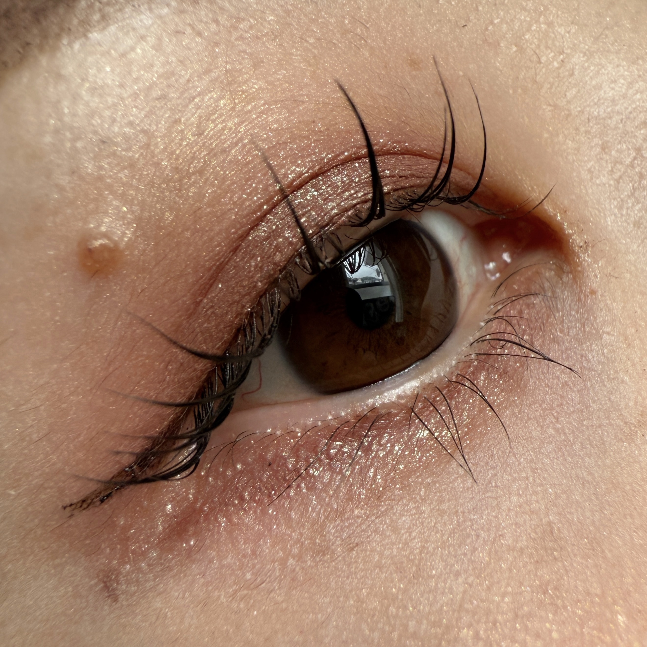 ダイメンションズ マルチエフェクト アイシャドウ/PRADA BEAUTY/アイシャドウパレットを使ったクチコミ（1枚目）