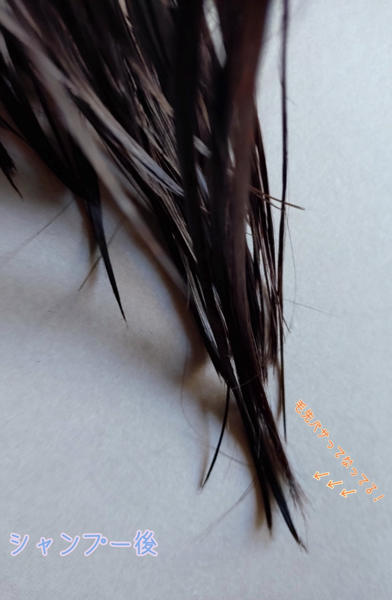 エッセンシャル プレミアム うるりキラリオイル/エッセンシャル/ヘアオイルを使ったクチコミ(5枚目)