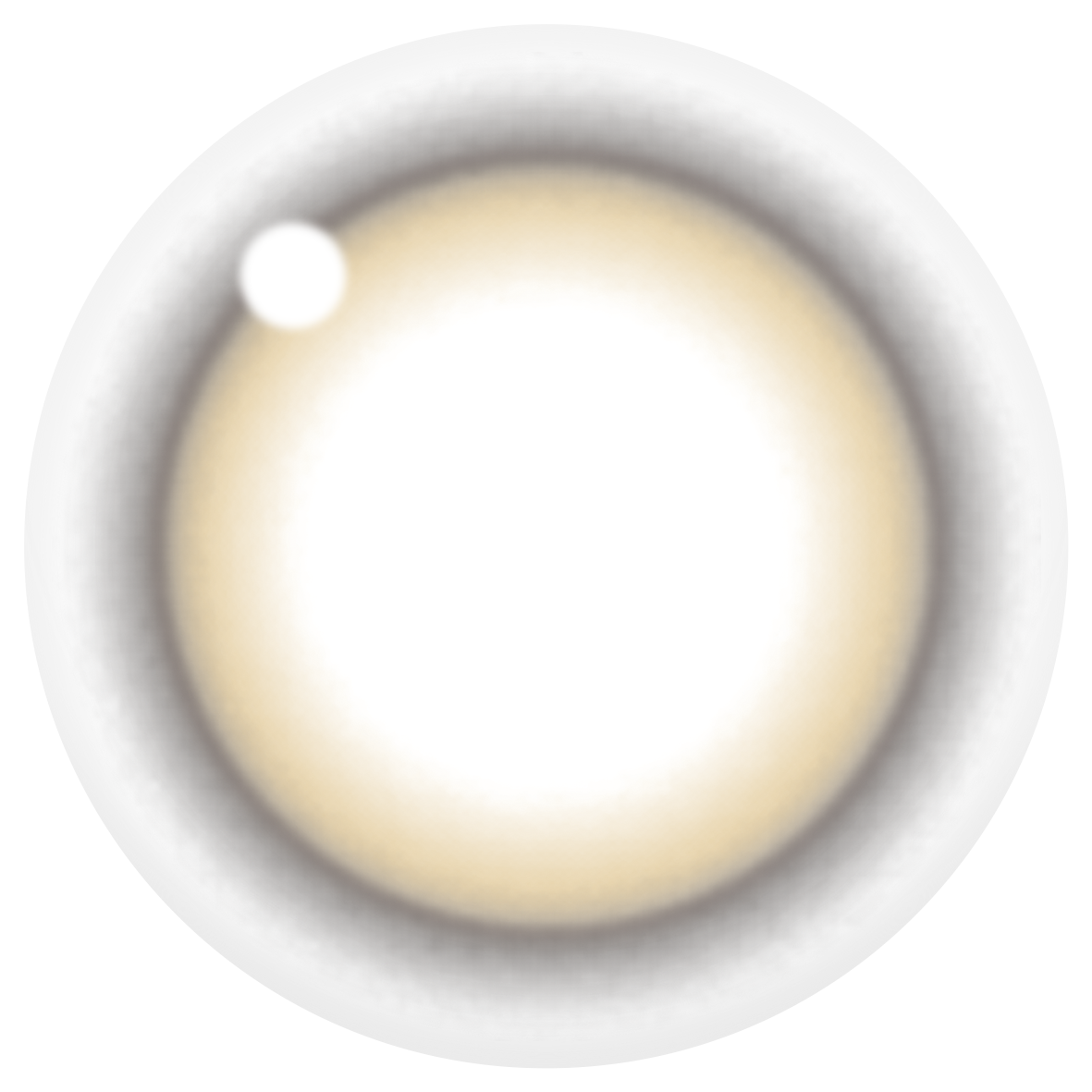 eyeis 1day メロブラウン