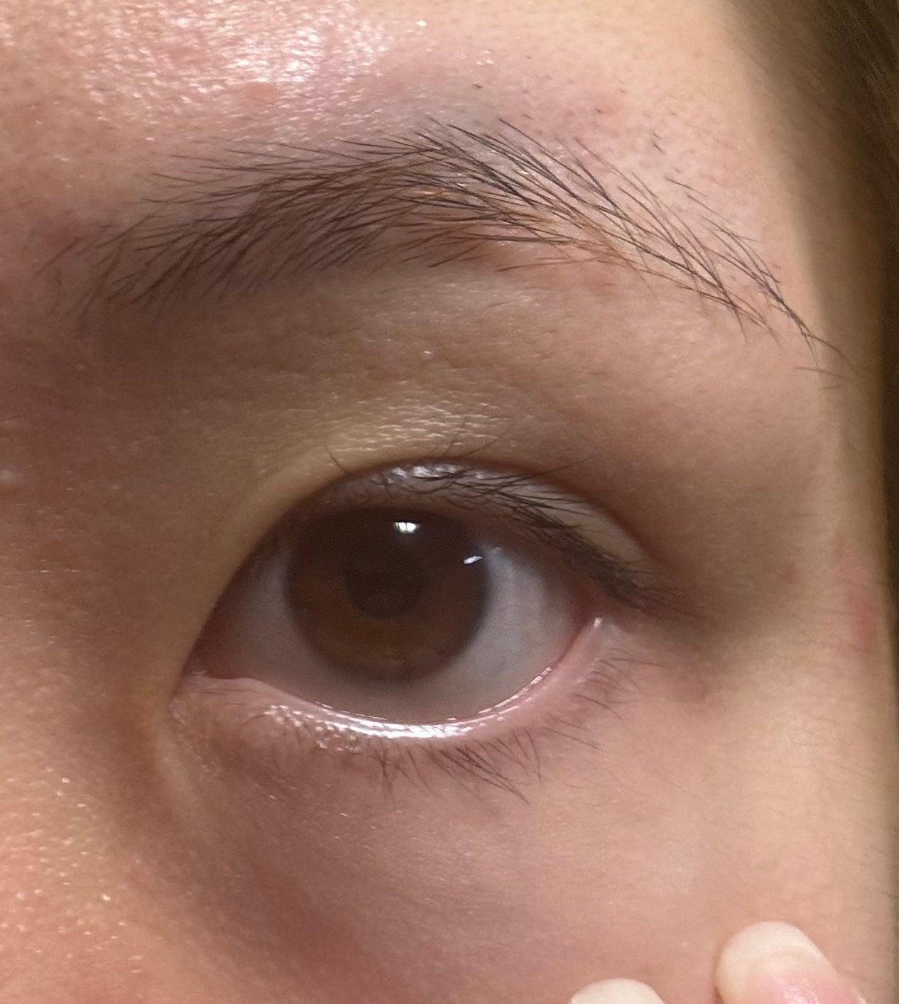 Blooming Eyelash Serum(透明)/KIERA/まつげ美容液を使ったクチコミ(5枚目)