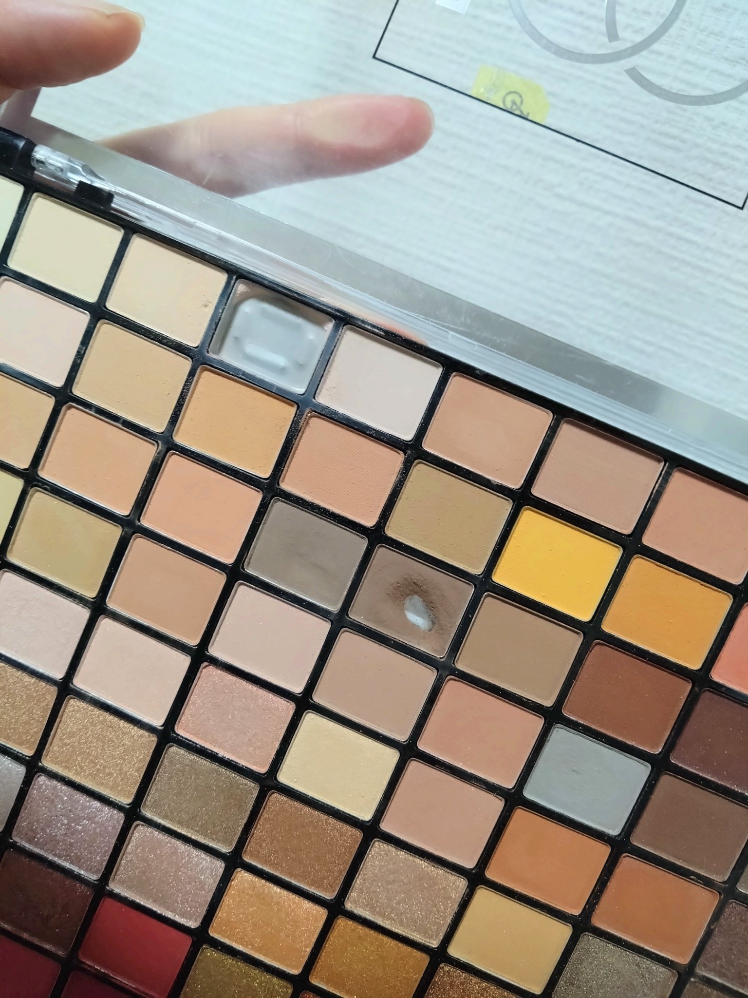 プロフェッショナルボリューム100カラー/Dolly Angel/アイシャドウパレットを使ったクチコミ（1枚目）