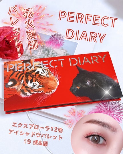 エクスプローラ12色 動物アイシャドウパレット/PERFECT DIARY/アイシャドウパレットを使ったクチコミ(1枚目)