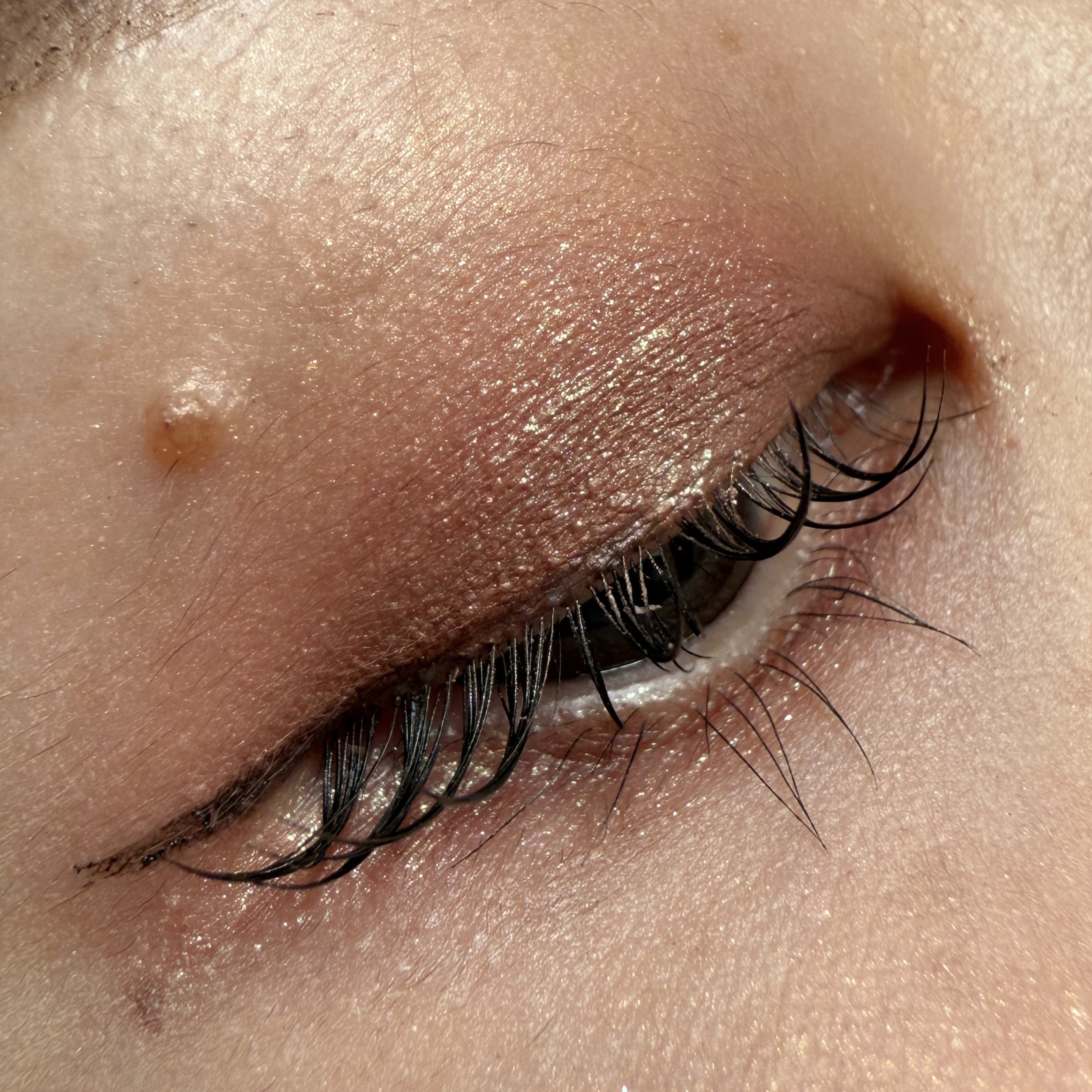 ダイメンションズ マルチエフェクト アイシャドウ/PRADA BEAUTY/アイシャドウパレットを使ったクチコミ（3枚目）