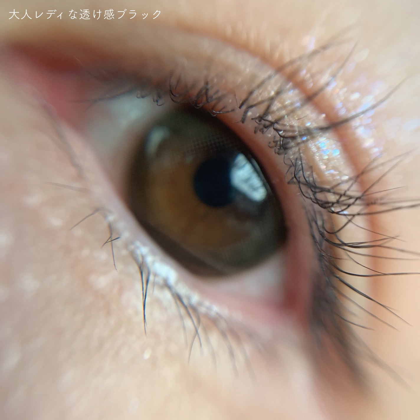 エルージュ 2weeks/éRouge/2週間(2WEEKS)カラコンを使ったクチコミ(8枚目)