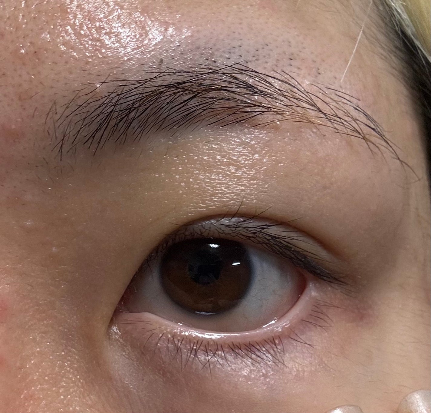 Blooming Eyelash Serum(透明)/KIERA/まつげ美容液を使ったクチコミ(7枚目)