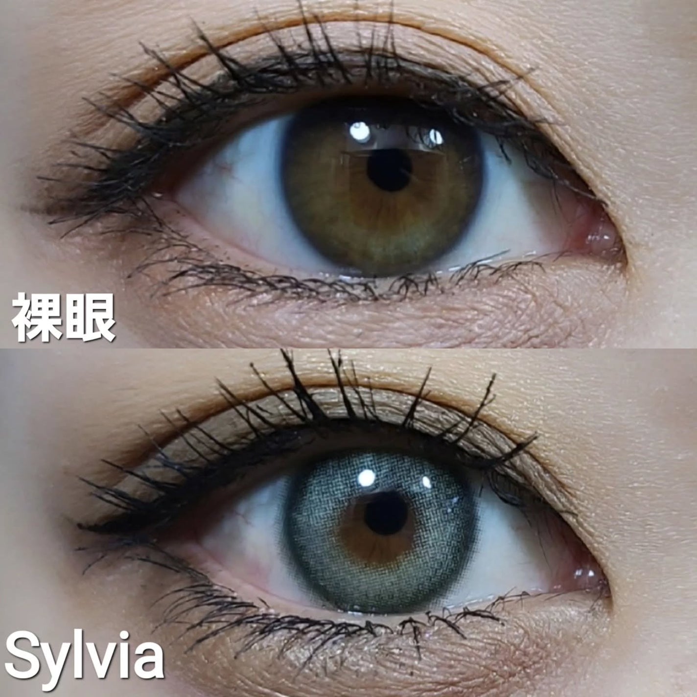 moon/MooN/カラーコンタクトレンズを使ったクチコミ(6枚目)