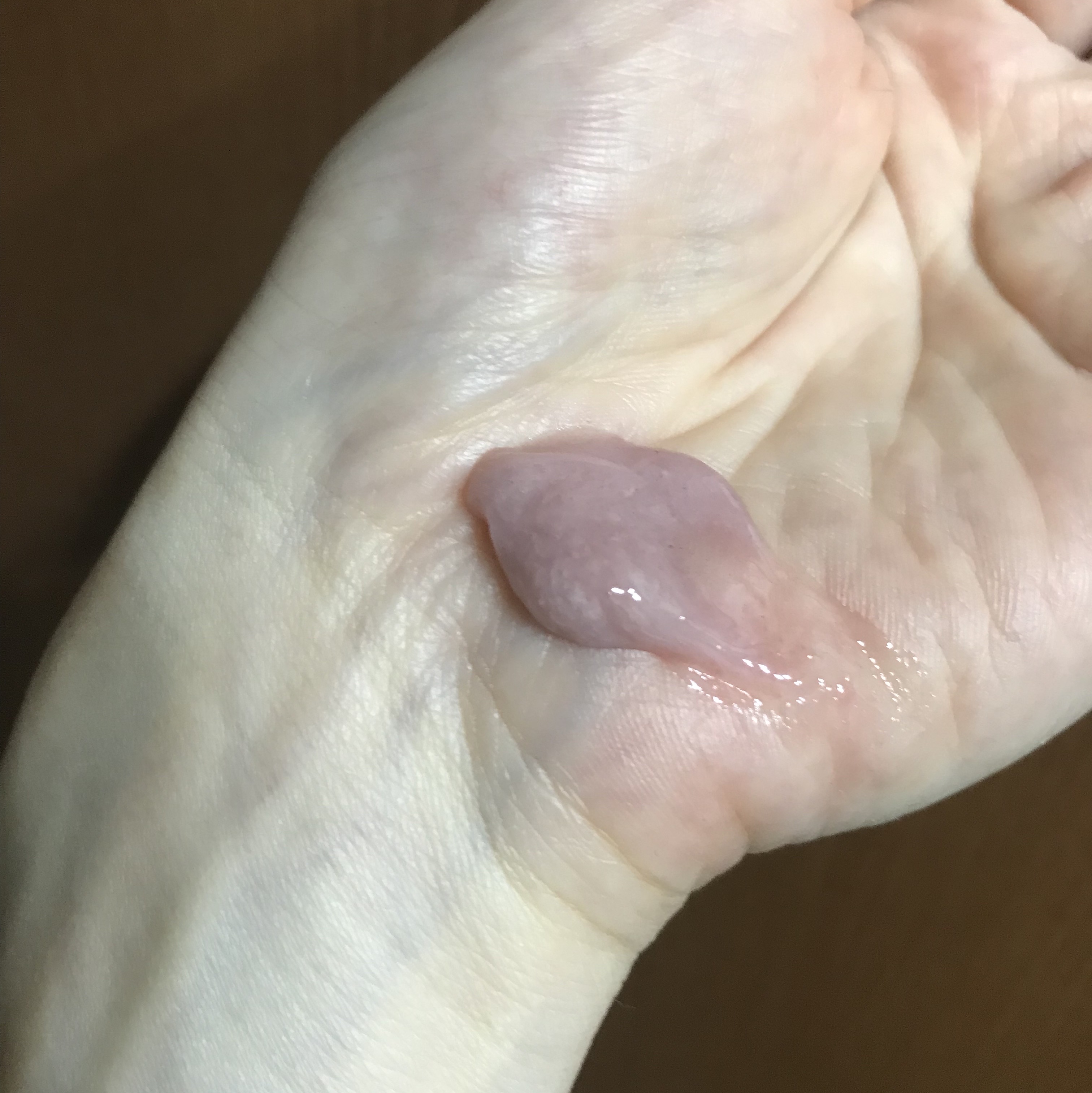 アレンシアフレッシュもちソープ「ロイヤルローズヒップ」/アレンシア/その他洗顔料を使ったクチコミ（3枚目）