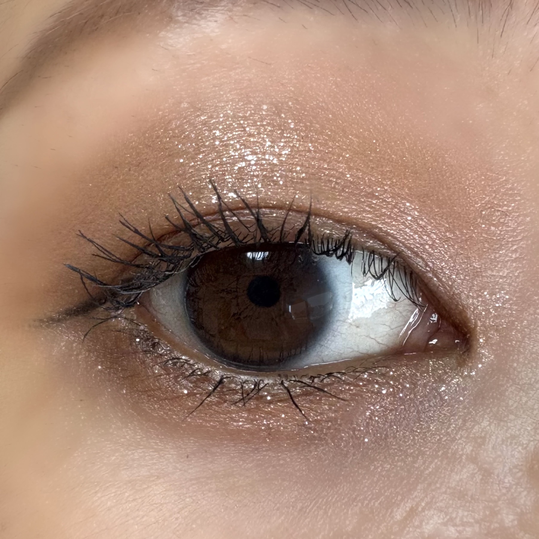 フェイスカラーパレット/チャコット・コスメティクス/アイシャドウパレットを使ったクチコミ（3枚目）