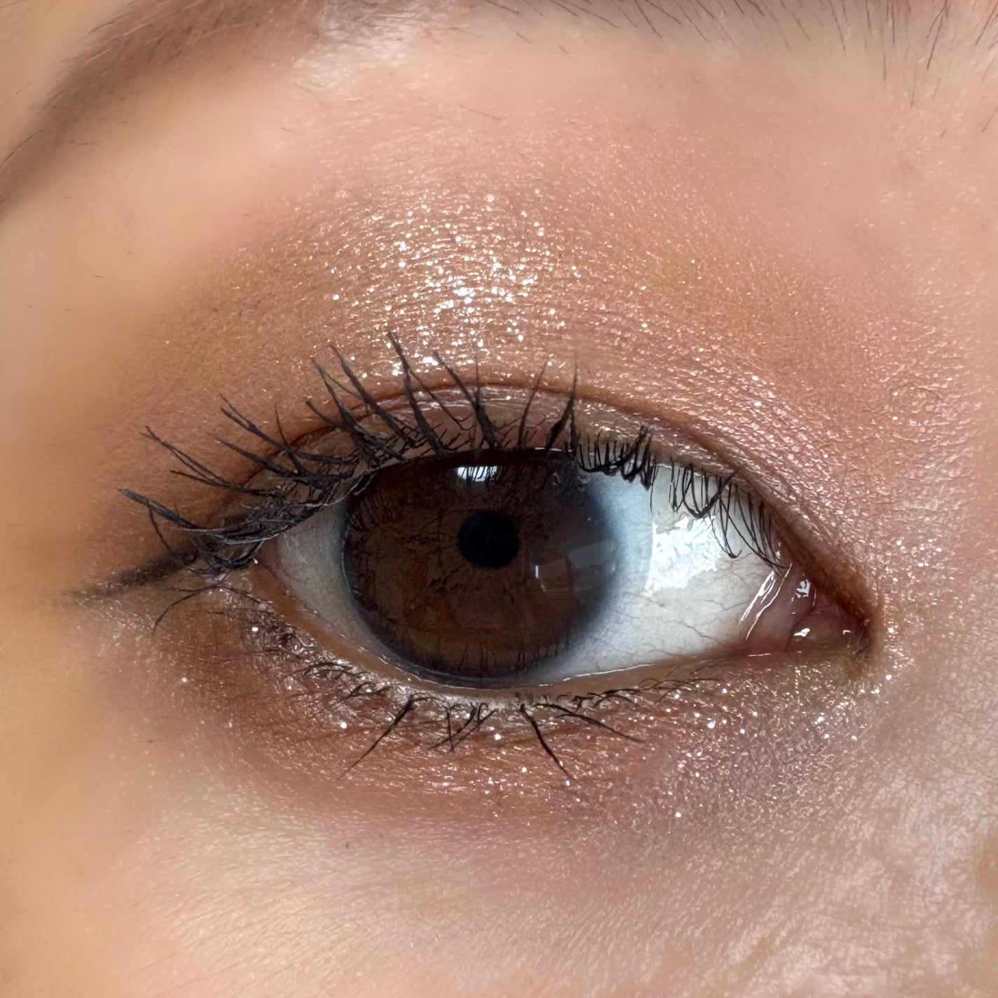 フェイスカラーパレット/チャコット・コスメティクス/アイシャドウパレットを使ったクチコミ(3枚目)