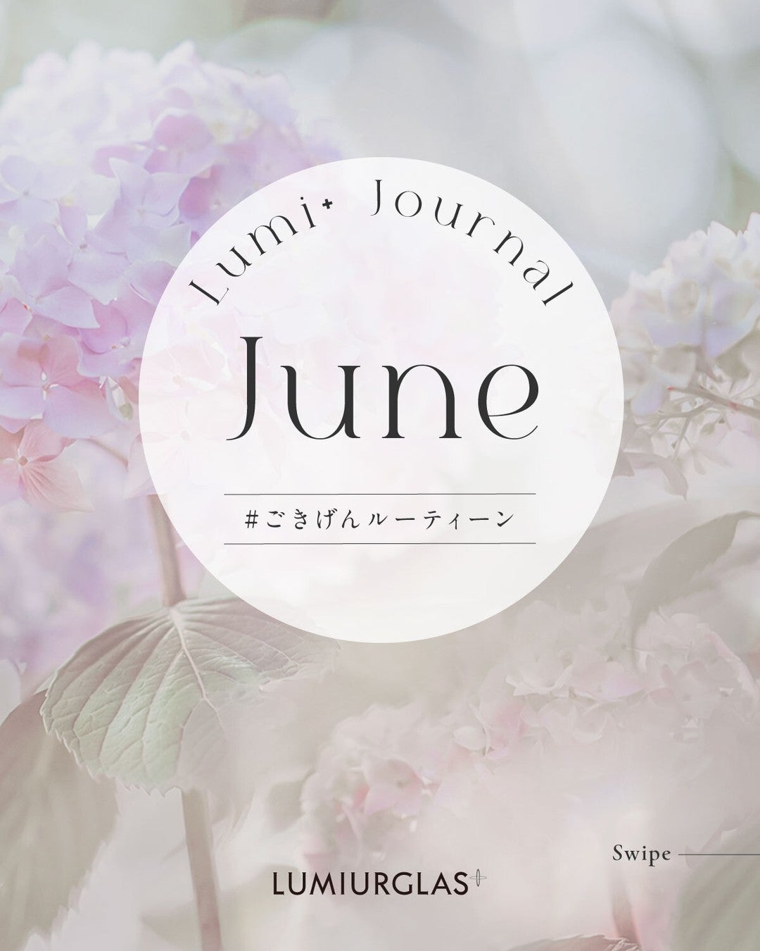 スキルレスライナー/LUMIURGLAS/リキッドアイライナーを使ったクチコミ(1枚目)