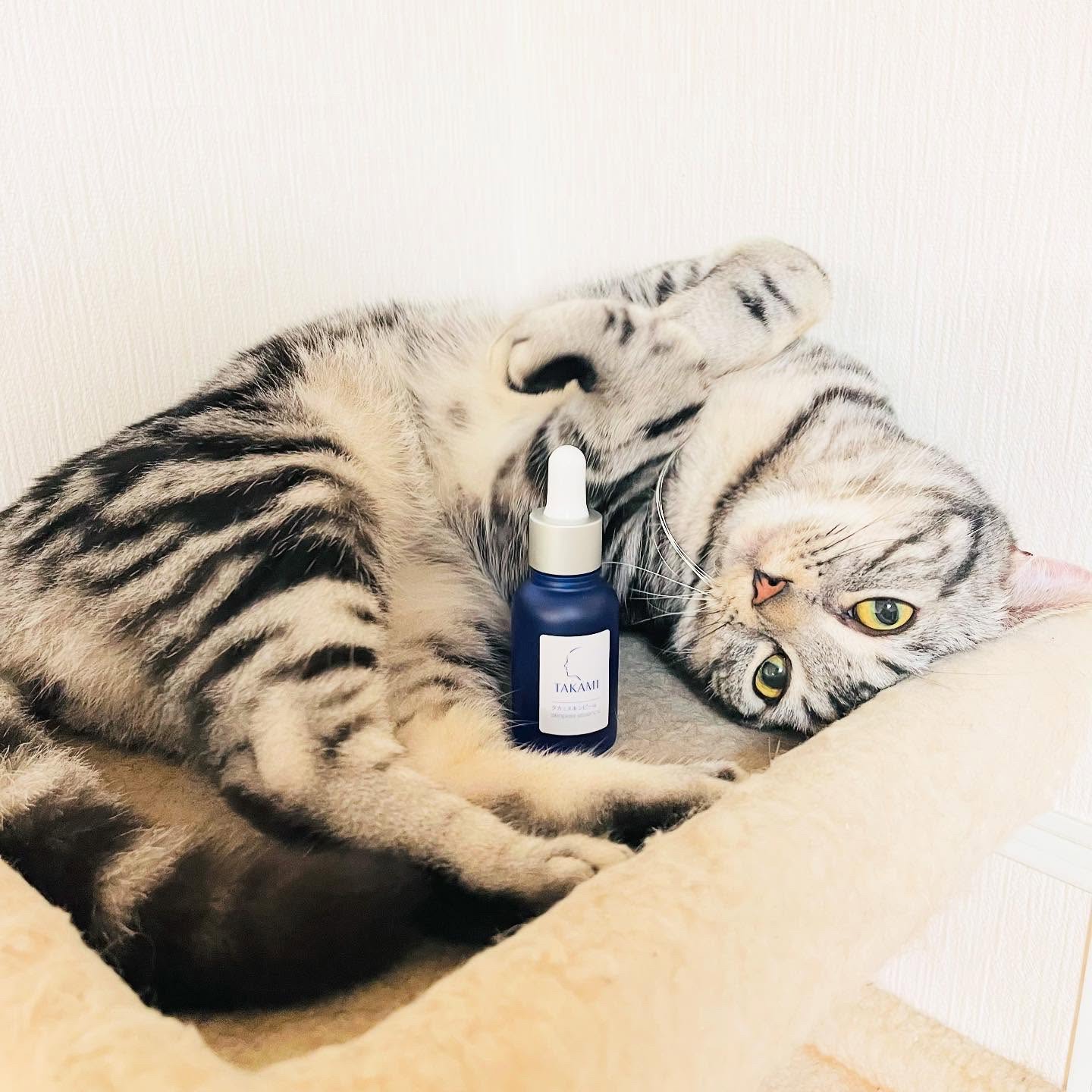 タカミスキンピール/タカミ/ブースター・導入液を使ったクチコミ（3枚目）