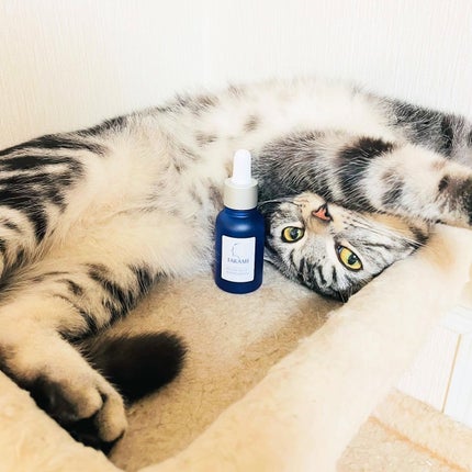 タカミスキンピール/タカミ/ブースター・導入液を使ったクチコミ(4枚目)