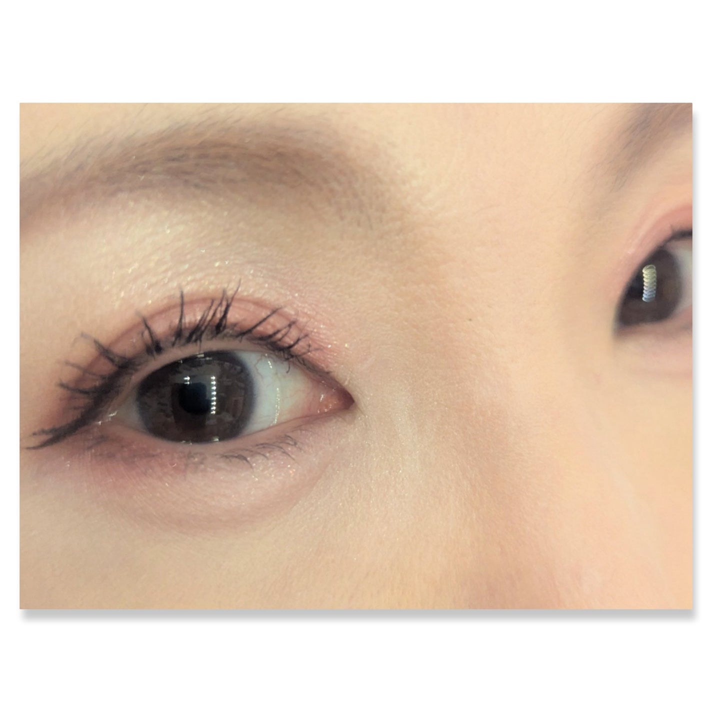 ジューシーピュアアイズ/キャンメイク/アイシャドウパレットを使ったクチコミ(2枚目)