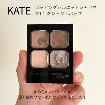 ケイト ポッピングシルエットシャドウ/KATE/アイシャドウパレットを使ったクチコミ(2枚目)