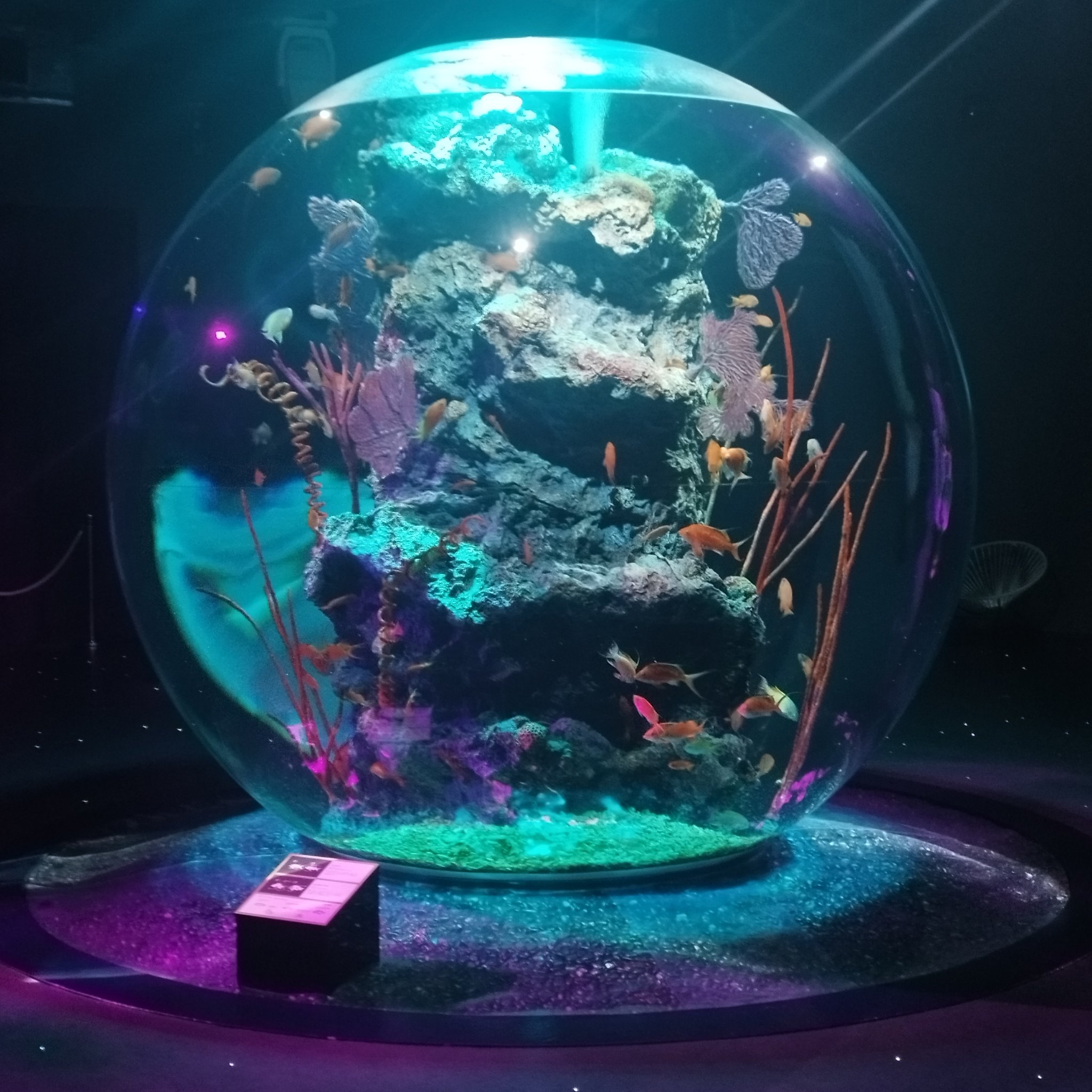 最近、コスメ熱が薄れてきて
メイクすらしてない日が続いてる🥹‪

40歳まで（あと90ヶ月）お金貯めるために
新しいコスメは使い切るまで買わないでおこうと思う。

使い切りコスメを紹介してから新しいの買おーと思います。

改めて決意を書い