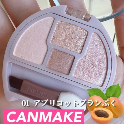 プランぷくコーデアイズ/キャンメイク/パウダーアイシャドウを使ったクチコミ(1枚目)