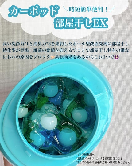 カーポッド 部屋干しEX/王子製薬/洗濯洗剤を使ったクチコミ(2枚目)