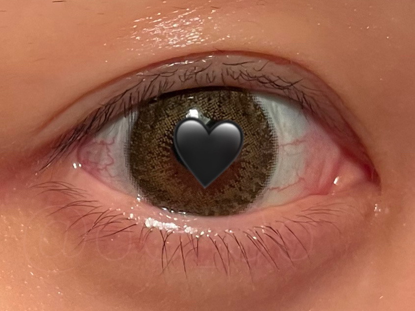 FLANMY 1day/FLANMY/ワンデー（１DAY）カラコンを使ったクチコミ（1枚目）