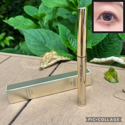 カールアメイジング マスカラ/Elégance/マスカラを使ったクチコミ(1枚目)