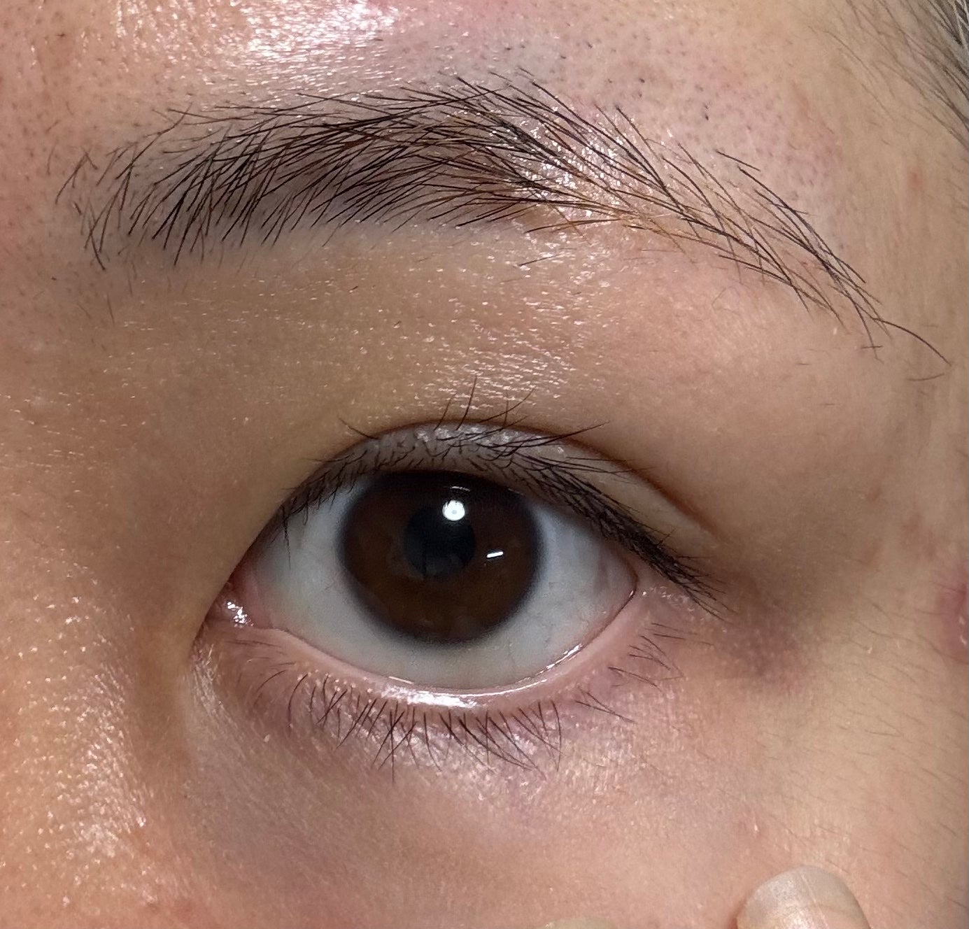 Blooming Eyelash Serum(透明)/KIERA/まつげ美容液を使ったクチコミ(6枚目)