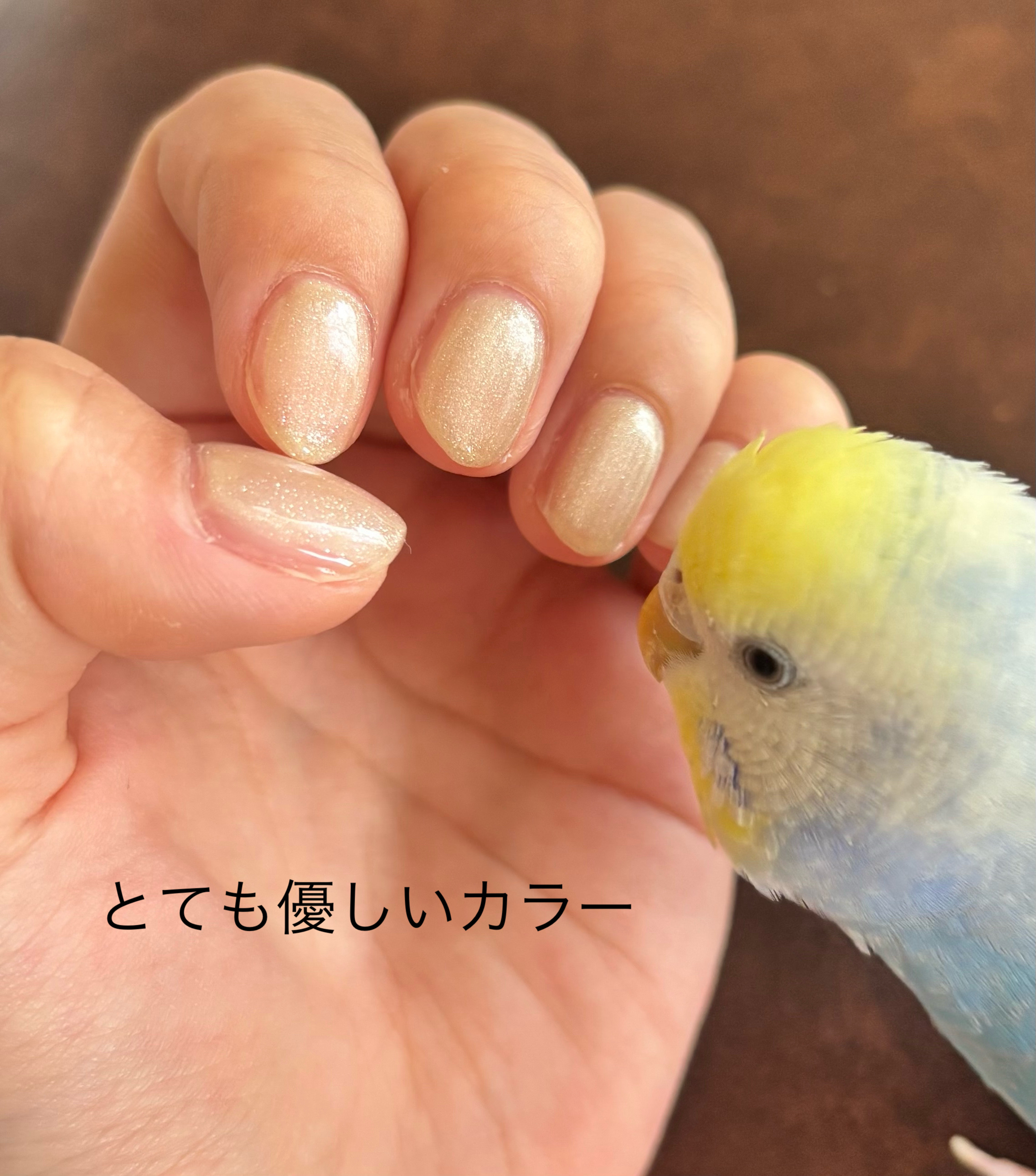 ジェルネイル（ライト対応）/セリア/ジェルネイルを使ったクチコミ（2枚目）