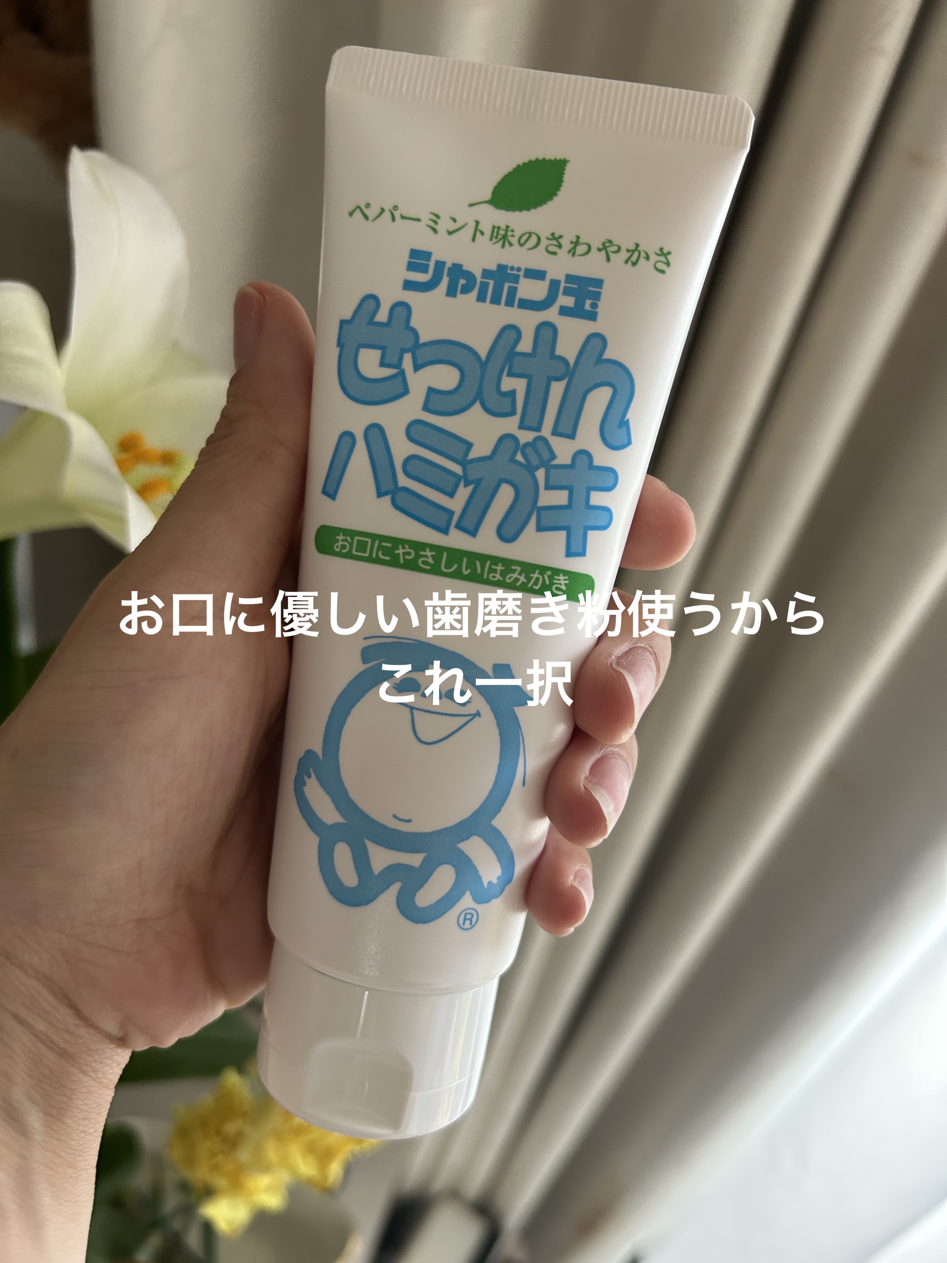 シャボン玉せっけんシリーズの、歯磨き粉知ってますか？

今は、色んな種類の歯磨き粉もあって
悩みますが、


口に入れる物だからこそ、
界面活性剤とか、入っていない天然由来の
歯磨き粉使いたくて
高いものから安いものまで試しましたが
500