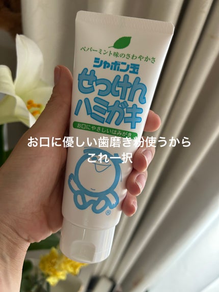 を使ったクチコミ(1枚目)