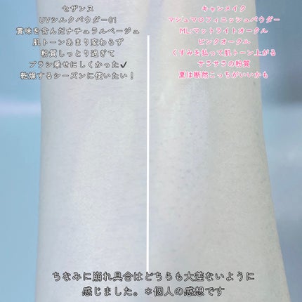 UVシルクカバーパウダー/CEZANNE/プレストパウダーを使ったクチコミ(6枚目)