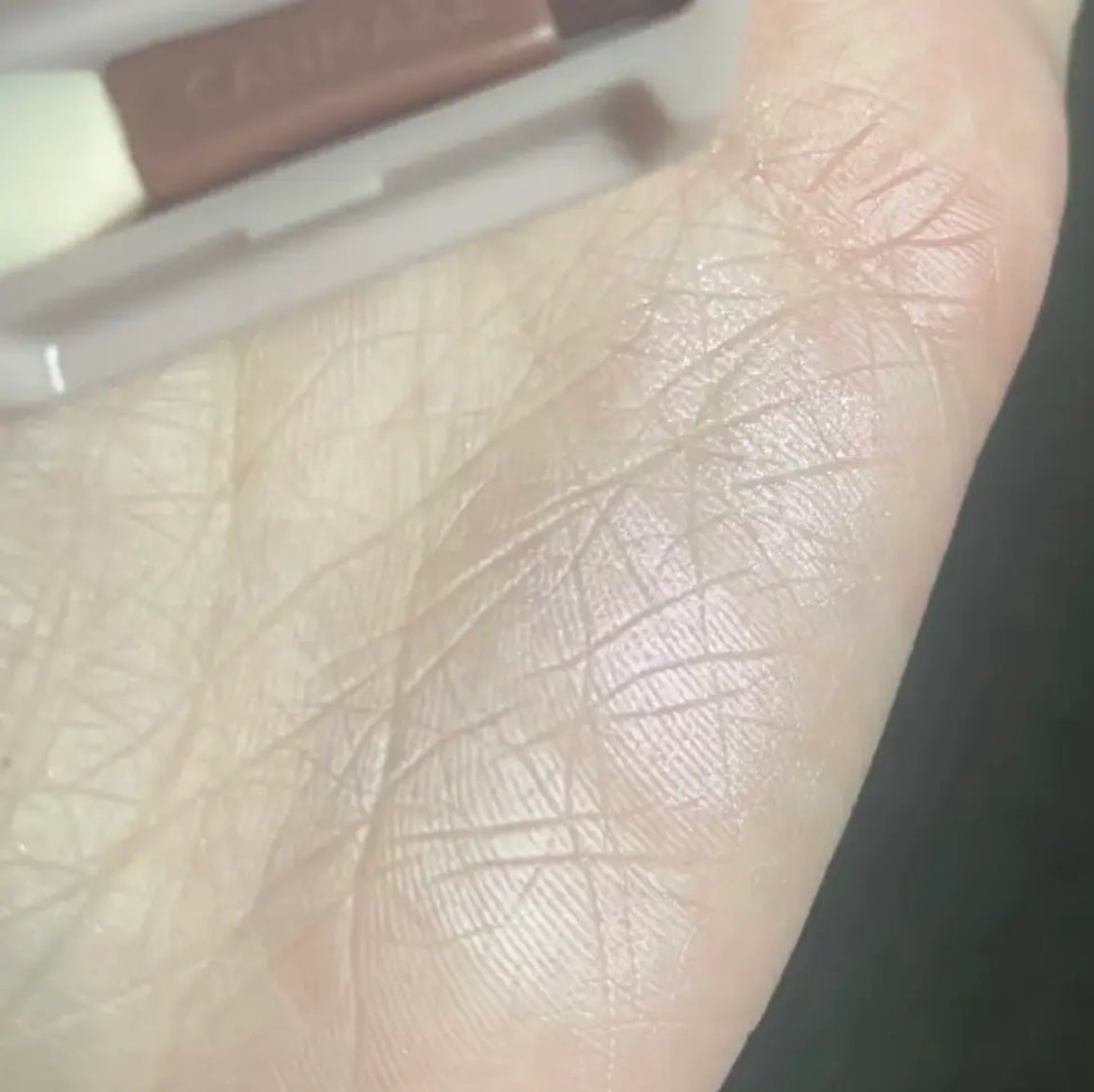 プランぷくコーデアイズ/キャンメイク/パウダーアイシャドウを使ったクチコミ(2枚目)