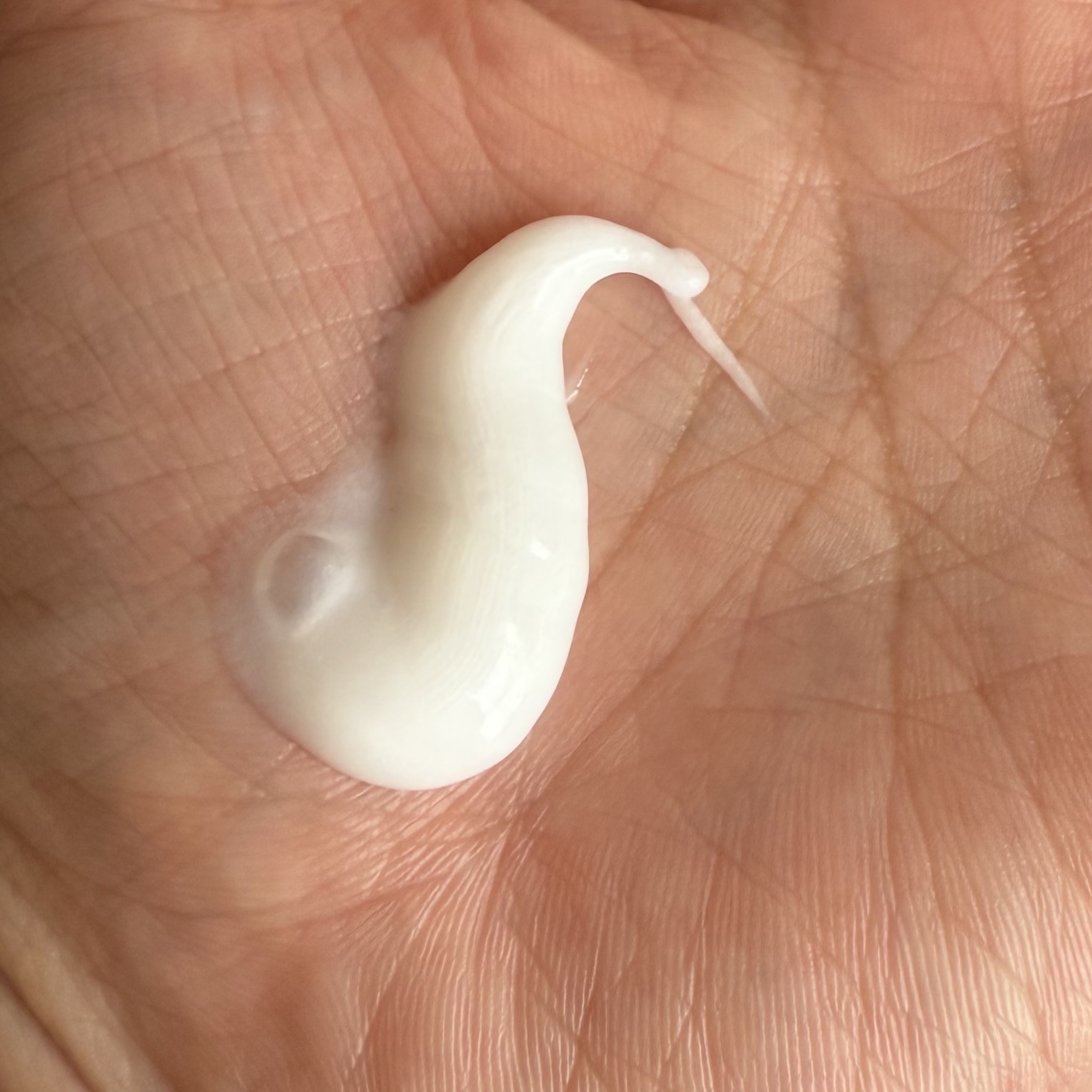 パーフェクトホイップa 120g/SENKA（専科）/洗顔フォームを使ったクチコミ（2枚目）