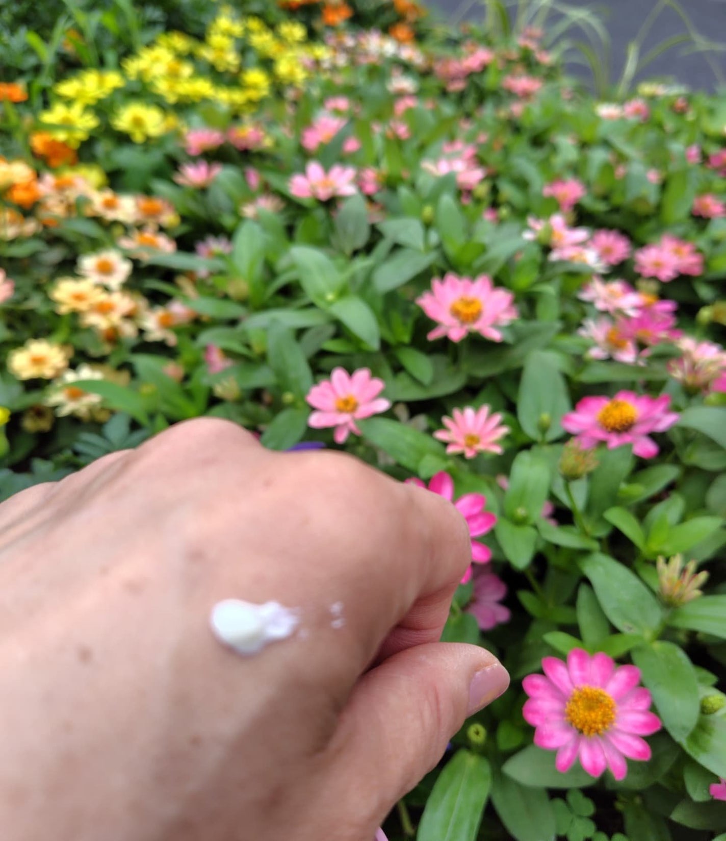 ひろちゃん on LIPS 「ヒアリーシカウォーターフィットサンセラム🌊🩵🩵🩵🩵🩵🩵🩵🩵🩵🩵..」(2枚目)