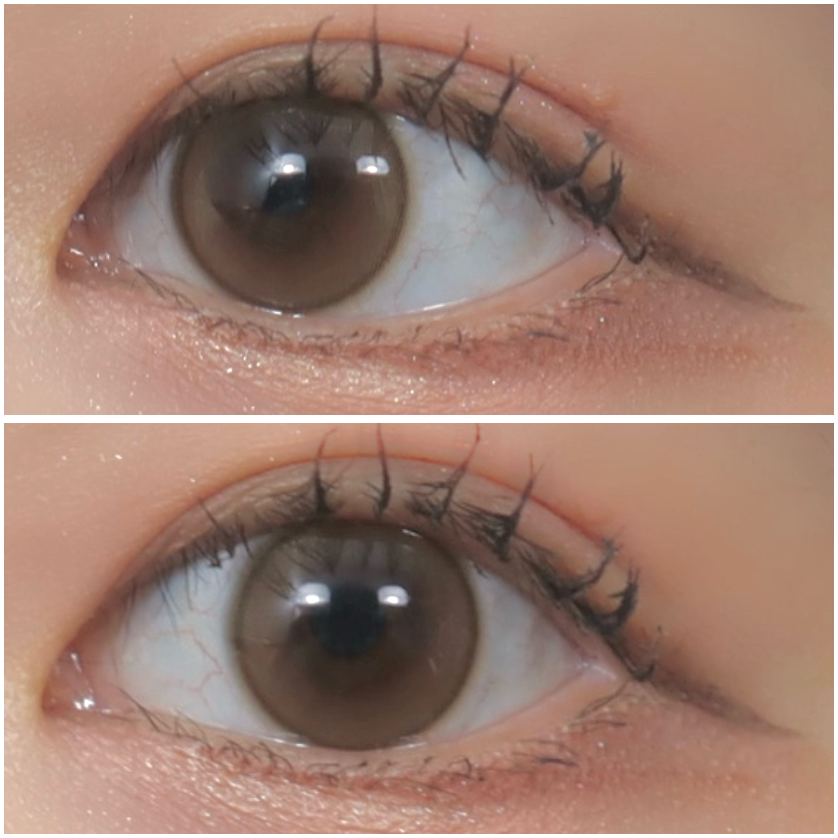 ShineTouch 1day/OLENS/ワンデー（１DAY）カラコンを使ったクチコミ（3枚目）