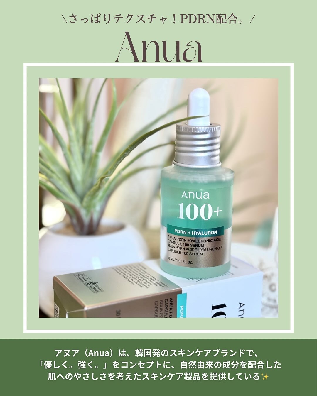 PDRNヒアルロン酸カプセル100セラム/Anua/美容液を使ったクチコミ（2枚目）