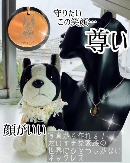 を使ったクチコミ(1枚目)