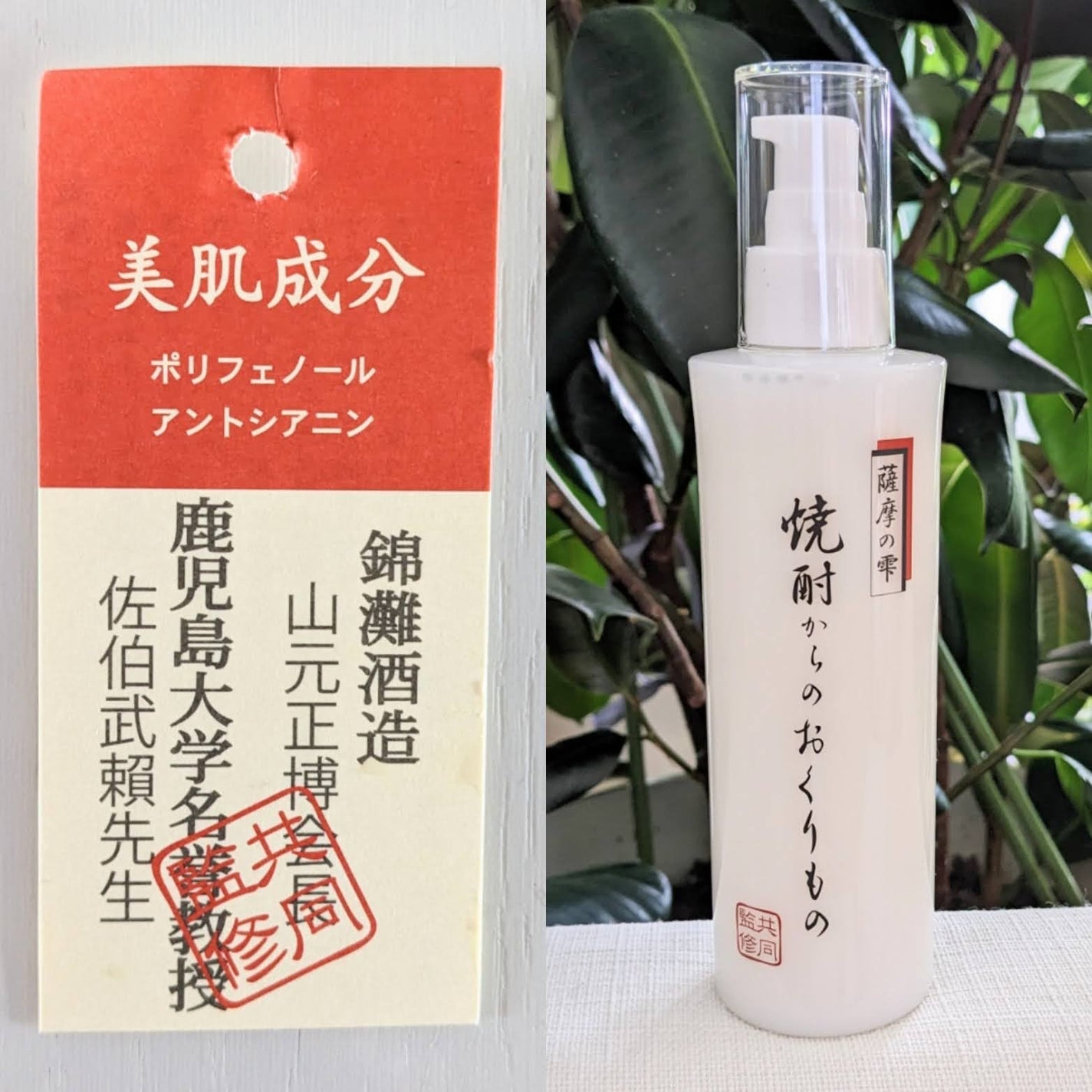 おほあんどうふ on LIPS 「肌にスッと馴染んでくれる コスメ見つけた🎆肌本来の 力を引き出..」(2枚目)